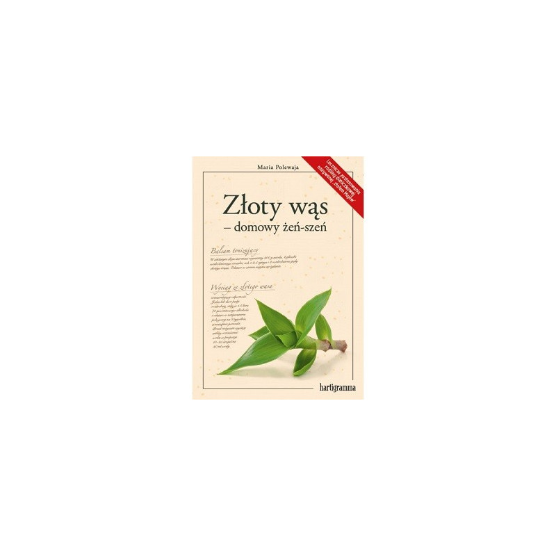 Złoty wąs - domowy żeń-szeń