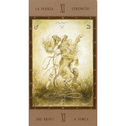 THE LABIRYNTH TAROT fournier