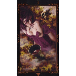 Dark Fairytale Tarot - karty tarota
