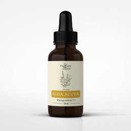 Sida acuta nalewka 1:1 50ml NANGA
