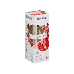 Dyfuzor zapachowy GET COST (pieczone jabłko i cynamon) True moods (45 ml)