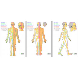 MAPA PUNKTÓW AKUPUNKTUROWYCH