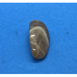 Kamień księżycowy - bębnowany 20 x 15 mm