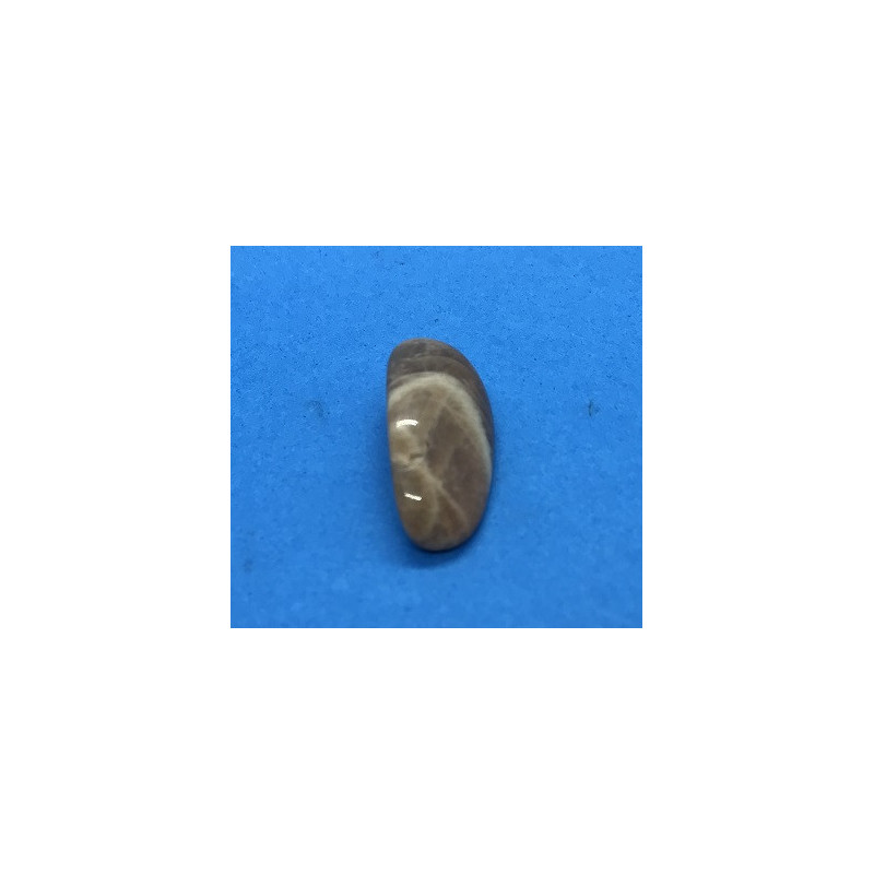 Kamień księżycowy - bębnowany 20 x 15 mm