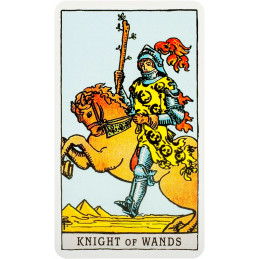 Tarot of A.E. Waite pocket Premium EDITION