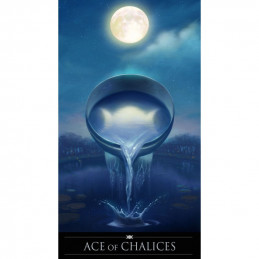 SILVER WITCHCRAFT Tarot - karty tarota