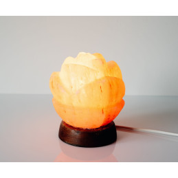 LAMPA SOLNA RÓŻA "L" 3-4KG ZDROWIE NATURY