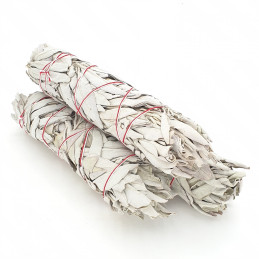 Biała szałwia (pęk 60-70 g) kadzidło oczyszczające (White Sage / SALVIA APIANA)