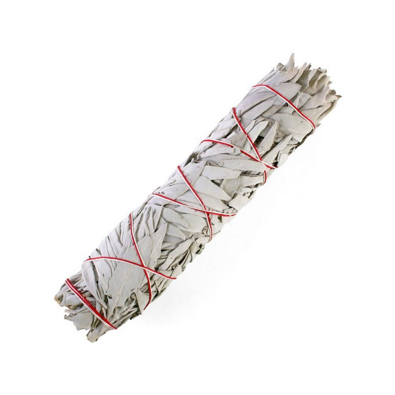 Biała szałwia (pęk 40-50 g) kadzidło oczyszczające (White Sage / SALVIA APIANA)
