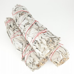 Biała szałwia (pęk 40-50 g) kadzidło oczyszczające (White Sage / SALVIA APIANA)