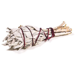 Biała szałwia w pęczku (15-20 g) kadzidło oczyszczające (White Sage / SALVIA APIANA)