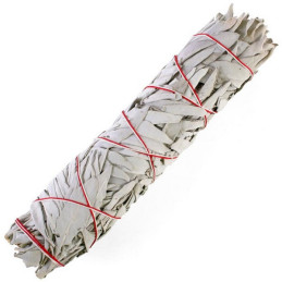 Biała szałwia (pęk 30-35 g) kadzidło oczyszczające (White Sage / SALVIA APIANA)