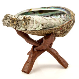 Abalone Shell - muszla (13-16 cm) do palenia kadzideł z drewnianym stojakiem