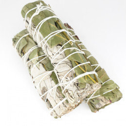Biała szałwia z eukaliptusem (pęk 30-40 g) kadzidło oczyszczające (White Sage & Eucalyptus)