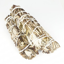 Biała szałwia z yerba santa (pęk 25-30 g) kadzidło oczyszczające (White Sage & Yerba Santa)
