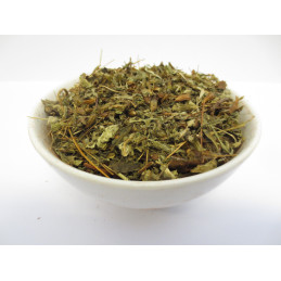 Kadzidło roślinne PATCHOULI FOREST (10 g)