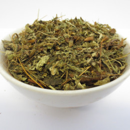 Kadzidło roślinne PATCHOULI FOREST (10 g)