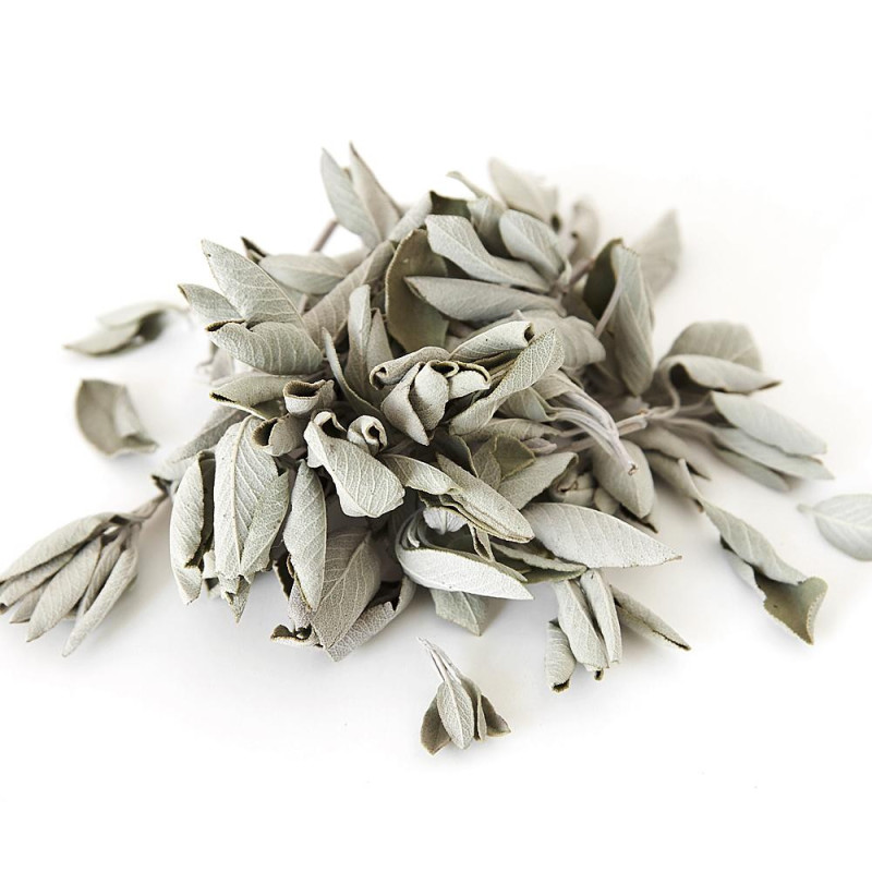 Biała szałwia (susz 25g) White Sage / SALVIA APIANA / kadzidło oczyszczające