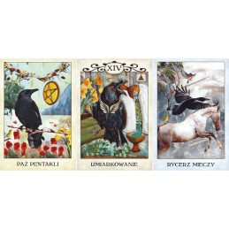 TAROT KRUKÓW, MJ Cullinane (książeczka + karty)